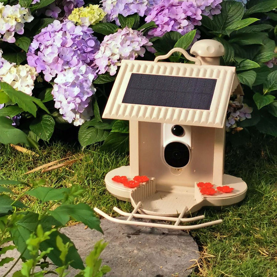 https://cdn.shopify.com/s/files/1/0950/5387/3523/files/hb-5543_hibirds-wifi-smart-fuglefoderhus-1080hd-kamera-og-ai-fuglegendkendelse-4_988e6e4c-9f69-45e3-b9b1-d72b87a99304.jpg?v=1759744505