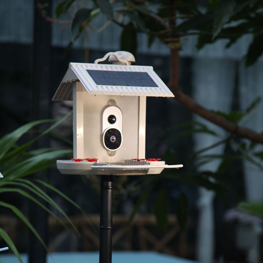 https://cdn.shopify.com/s/files/1/0950/5387/3523/files/hb-5543_hibirds-wifi-smart-fuglefoderhus-1080hd-kamera-og-ai-fuglegendkendelse-6_567dafeb-2732-421e-a270-eb57b1b5deb8.jpg?v=1759744505