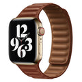 https://cdn.shopify.com/s/files/1/0950/5387/3523/files/lpaw032_lippa-apple-watch-magnetisk-laederrem-42-44-45-49-brun-1.jpg?v=1759744457