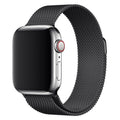 https://cdn.shopify.com/s/files/1/0950/5387/3523/files/lpaw087_lippa-apple-watch-rustfri-stal-rem-38-40-41-sort-1.jpg?v=1759553397