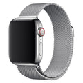 https://cdn.shopify.com/s/files/1/0950/5387/3523/files/lpaw124_lippa-apple-watch-rustfri-stal-rem-42-44-45-49-solv-2.jpg?v=1759553270
