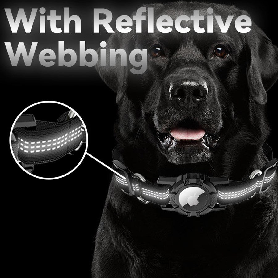 https://cdn.shopify.com/s/files/1/0950/5387/3523/files/lpcover0029_lippa-collar-for-dogs-size-s-28-34-cm-black-6.jpg?v=1759552751