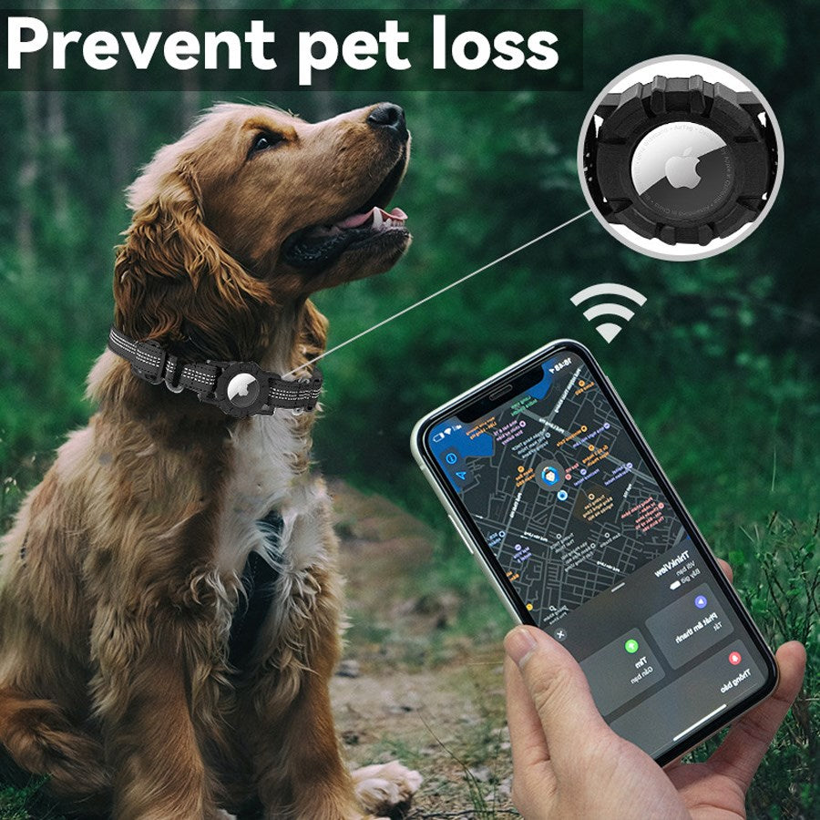https://cdn.shopify.com/s/files/1/0950/5387/3523/files/lpcover0030_lippa-collar-for-dogs-size-m-36-42-cm-black-5.jpg?v=1759552734